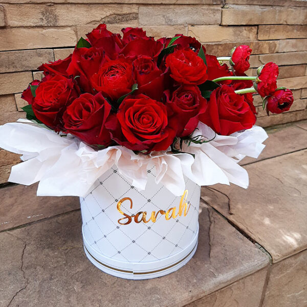 Red Rose Pop