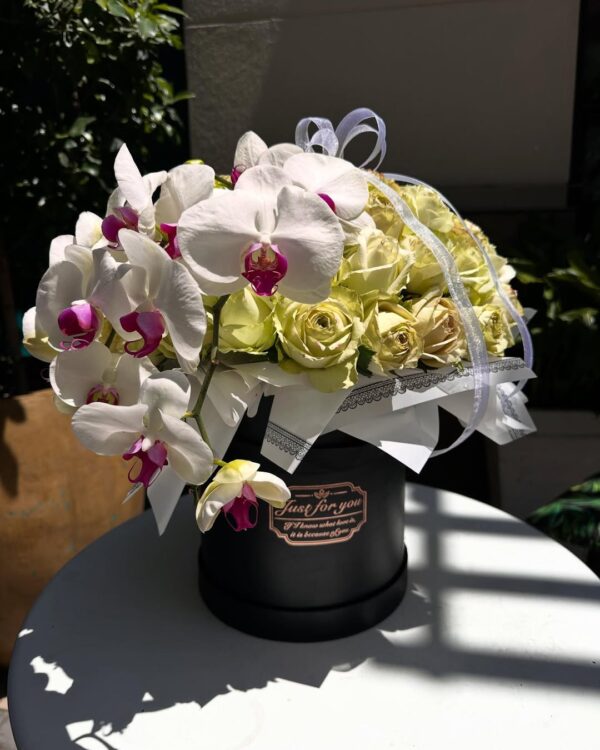 Orchid Black Box